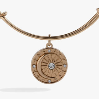 Cosmic Balance Charm Bangle | Alex + Ani 🌙 - Jewelry