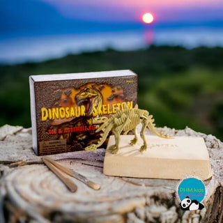 Dinosaur Skeleton Excavation Kit