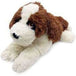 St. Bernard