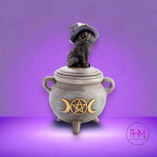 Enchanted Secrets Trinket Box 🐈‍⬛ - Dish