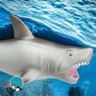 Epic Great White Shark 🦈