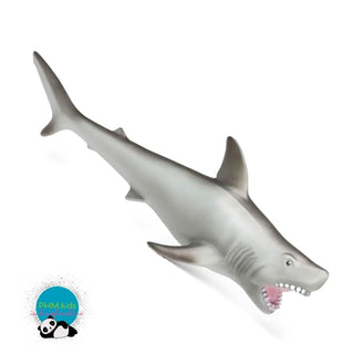 Epic Great White Shark 🦈