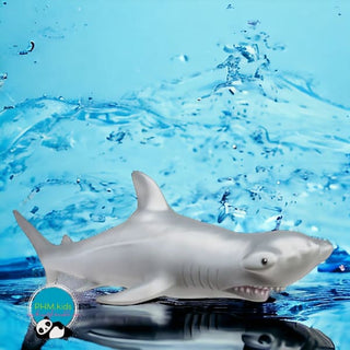 Epic Hammerhead Shark 🦈