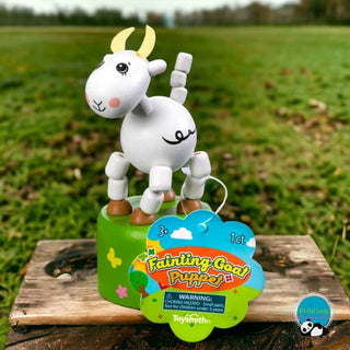 Farm Fresh Fainting Goat 🐐