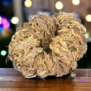 Flower De Jericho 🌙 - religious items