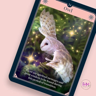 🔮✨ Fortune Oracle ✨🔮