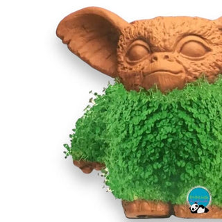 Gizmo Chia Pet