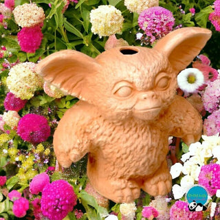 Gizmo Chia Pet