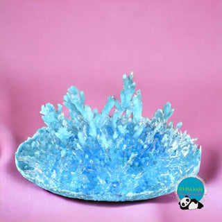 Growing Crystals Kit