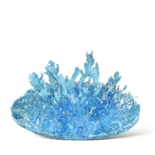 Growing Crystals Kit
