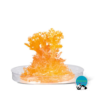 Growing Crystals Kit