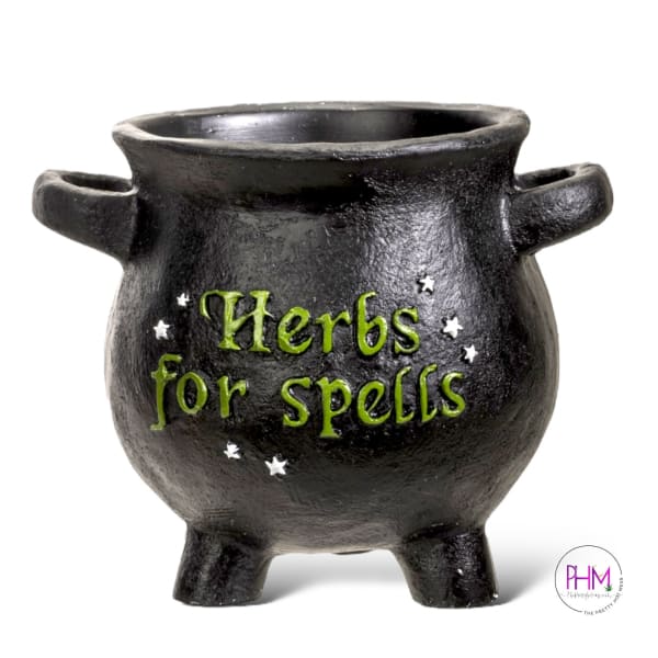 Herbs for Spells Cauldron 🧙‍♀️💫