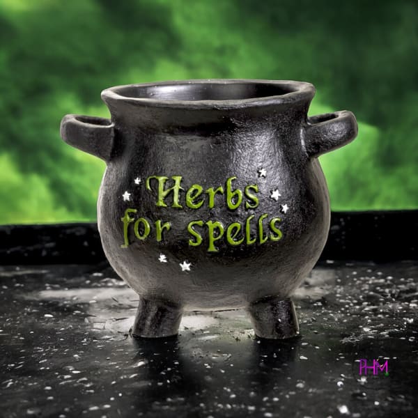 Herbs for Spells Cauldron 🧙‍♀️💫