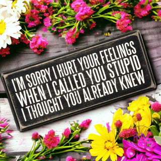 I’m Sorry I Hurt Your Feelings When Called You Stupid