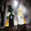 Bad Witch Good Magnetic Salt &amp; Pepper Shakers - Shaker