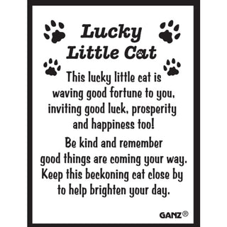 Lucky Little Cat Charm 🍀