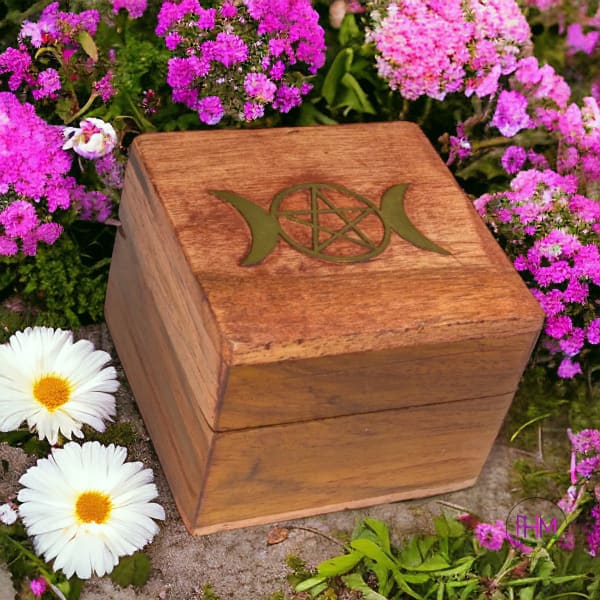 Magical Dreams Velvet Lined Treasure Box ✨