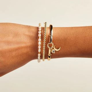 Moon Duo Clip Bangle | Alex + Ani ♥️ - Jewelry