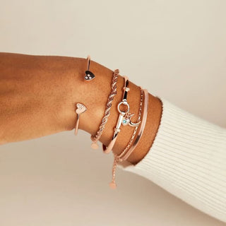 Moon Duo Clip Bangle | Alex + Ani ♥️ - Jewelry