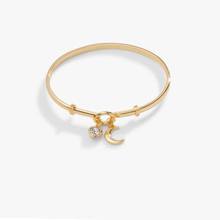 Moon Duo Clip Bangle | Alex + Ani ♥️ - Jewelry