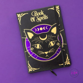 Mystic Familiar Journal 🔮 - Magic Box