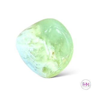 Mystical Jade Tumbled Stone 💚 - Crystals