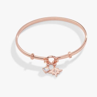 North Star + Crystal Charm Clip Bangle | Alex + Ani ♥️