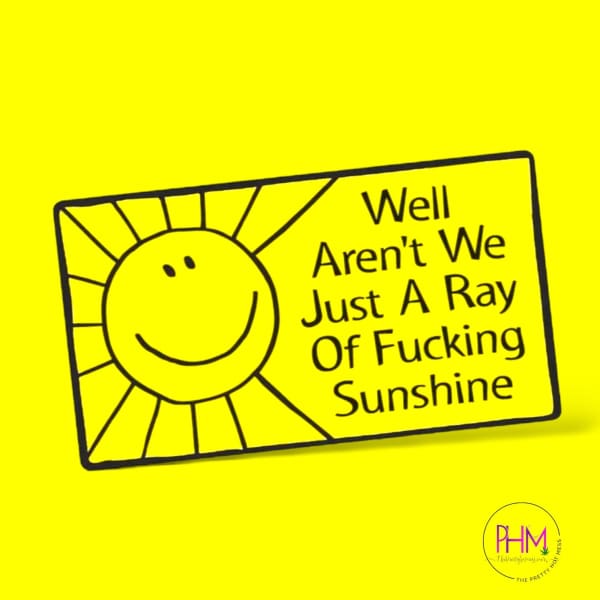 Ray Of Fucking Sunshine - Stickers