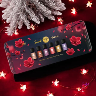 Scent Haven Premium set of 6 Tin Box Holiday Gift Set 🌲