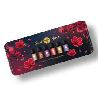 Scent Haven Premium set of 6 Tin Box Holiday Gift Set 🌲