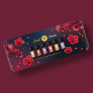 Scent Haven Premium set of 6 Tin Box Holiday Gift Set 🌲