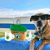 Starbarks Coffee House Burrow Dog Toy - Toys