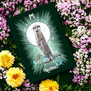 The Witch’s Familiar Runic Oracle 🐈‍⬛