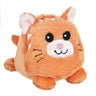 Orange Cat