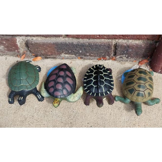 *Turtle Squshimals