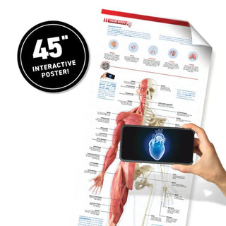VR Human Body Gift Set