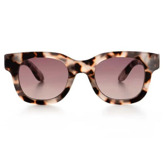 Optimum Optical Sunglasses 🕶️ - Astoria - Done