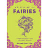 A Little Bit of Fairies - Books