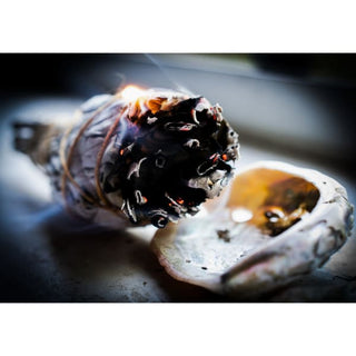 Abalone Smudging Bowl