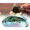 Abalone Smudging Bowl