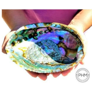 Abalone Smudging Bowl
