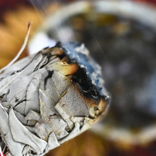 Abalone Smudging Bowl