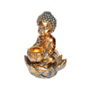 Baby Buddha Backflow Burner - burner