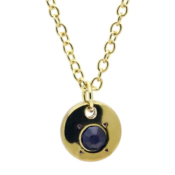 Birthstone Bottle Necklace - February/Amethyst - Necklaces