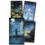 Black Cats Tarot Deck - Cards