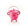 Cast Iron Cauldron - Pink - Cauldon