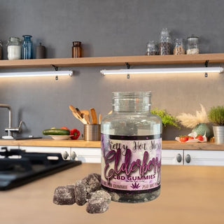 CBD Infused Elderberry Gummies - Supplements
