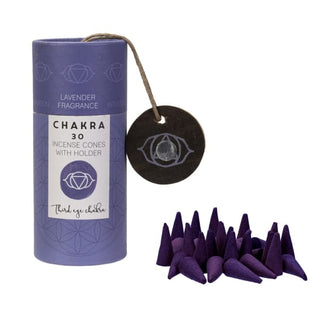 Chakra Incense Cones with Holder 💜 - Third Eye - Gifts