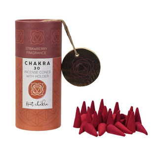 Chakra Incense Cones with Holder 💜 - Root - Gifts