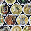 Circle Of Life Tarot - Cards